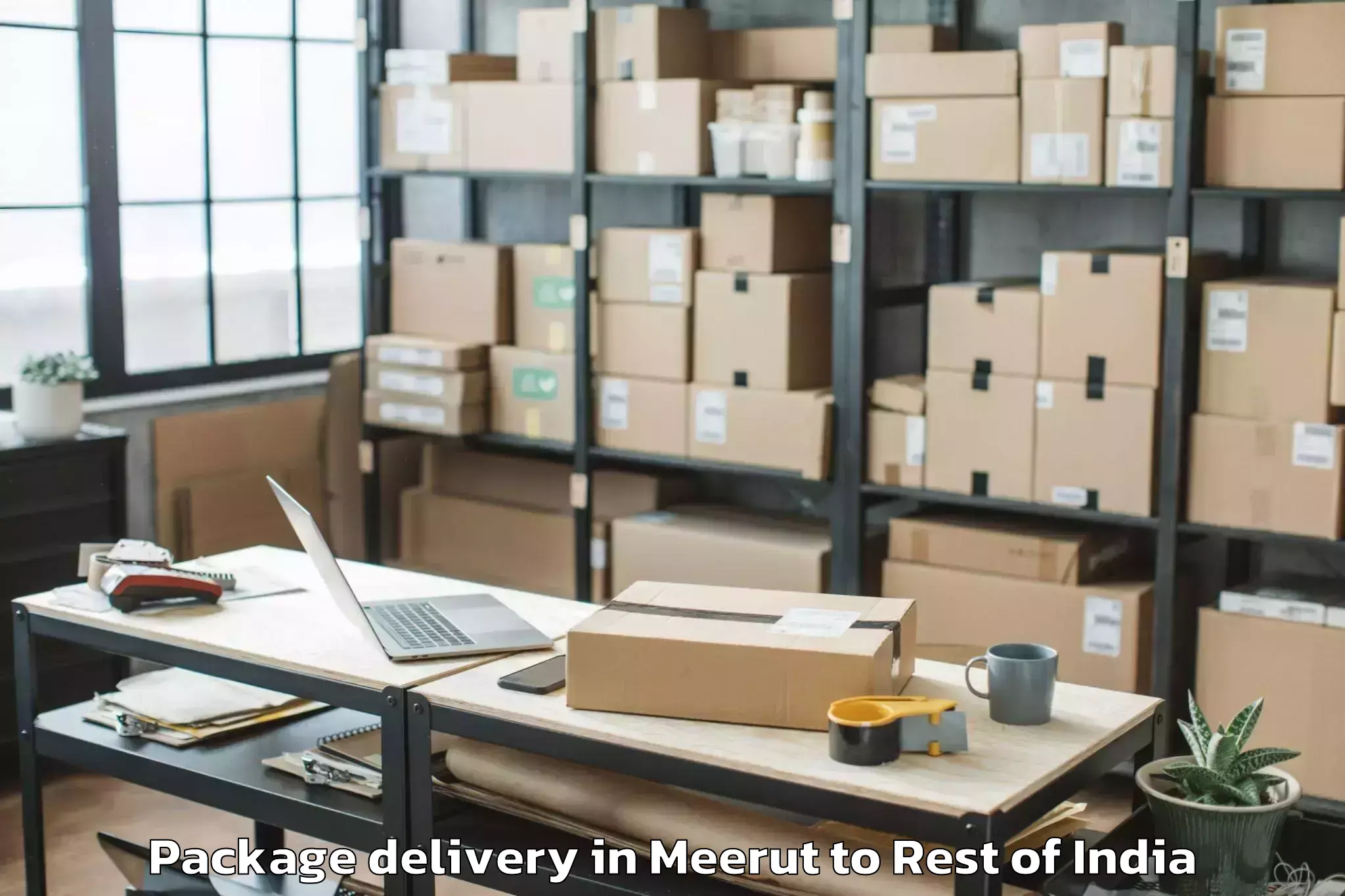 Top Meerut to Tral Package Delivery Available